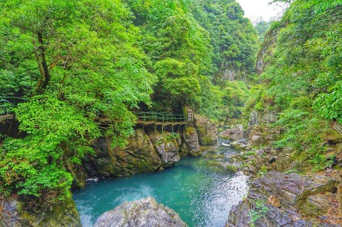 两会好声音丨蒋珍凤:规范统一品种 推动湘米出湘