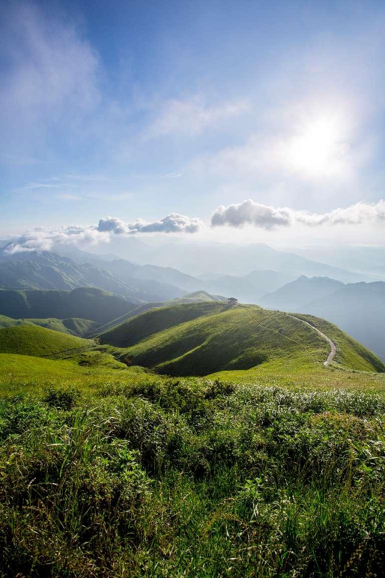 我家麦片从不熬粥，加1个鸡蛋，简单几步，出锅太香了，营养解馋游戏画面